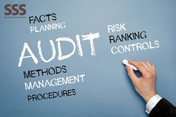 Góc nhìn tổng quan về audit company